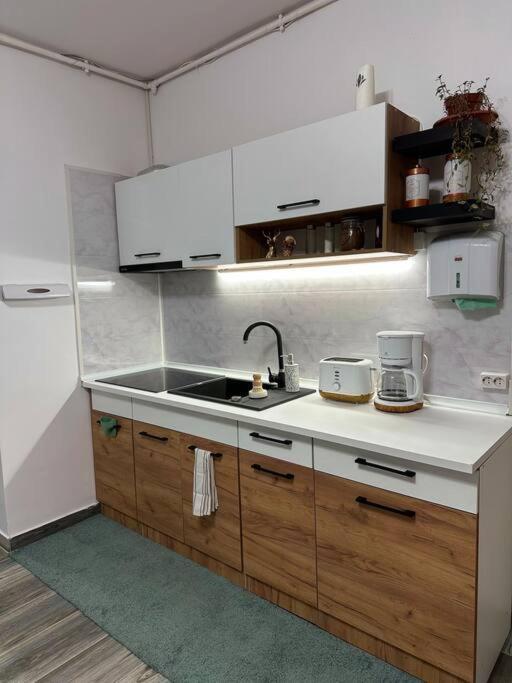 Zion Home Sibiu Buitenkant foto