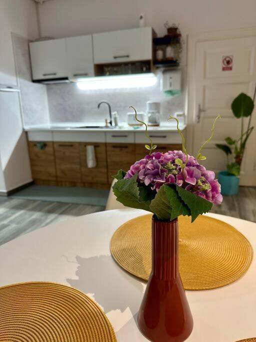 Zion Home Sibiu Buitenkant foto