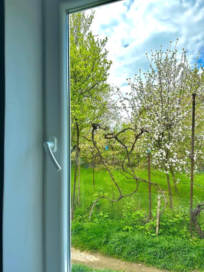 Zion Home Sibiu Buitenkant foto